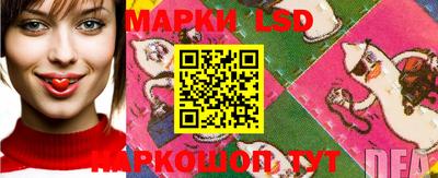 СК Кунгур