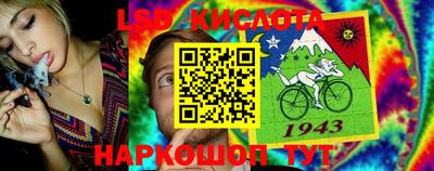 твердый Кулебаки