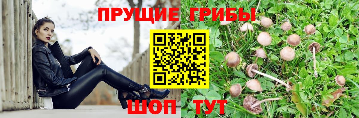 Дивногорск  Псилоцибиновые грибы Magic Shrooms  Вход с VPN 