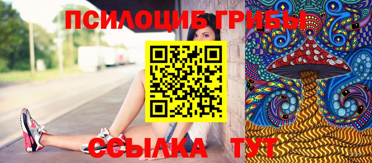 Псилоцибиновые грибы Psilocybe Дивногорск